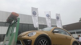 Con bọ huyền thoại của hãng xe Đức Volkswagen Beetle