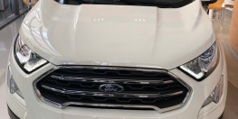 Ford Ecosport titanium 1.0 ecobooth giá cực ưu đãi, nhiều quà tặng hấp dẫn kèm theo xe, LH: 0902 724 140 để được phục vụ nhiệt tình nhất