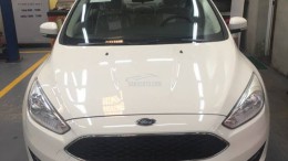 Chính chủ bán xe Ford Focus Trend, Đời 2018, biển HN,  màu trắng, giá 600tr