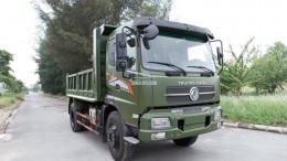 Bán xe tải Truonggiang máy Weichai-165 năm 2017 tải 8t5
