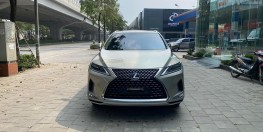 Bán Lexus RX300, sản xuất 2020, màu Titan cực đep, xe 1 chủ.