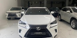 Chính chủ bán Lexus NX300 mode 2019, sơn zin cả xe, full lịch sử hãng